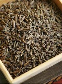 فروش بذر گیاه دارویی زیره ایرانی